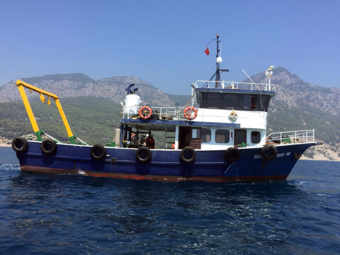 Seagull-Ege-10002.jpg