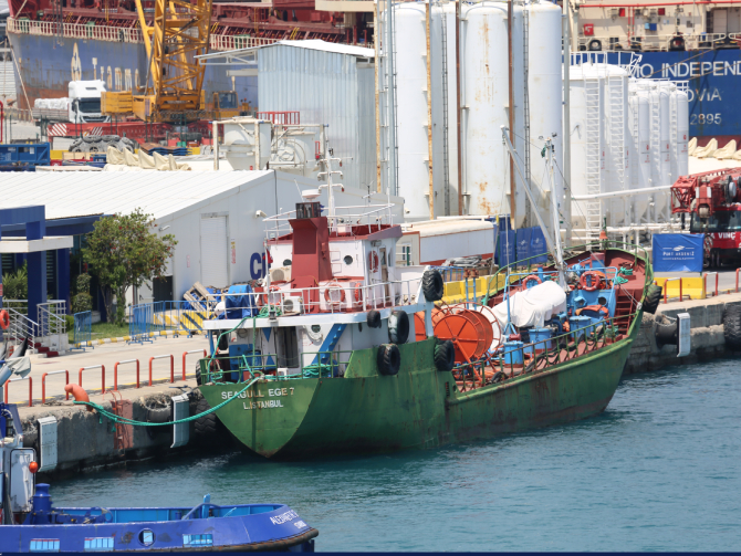 Seagull-Ege-7002.jpg