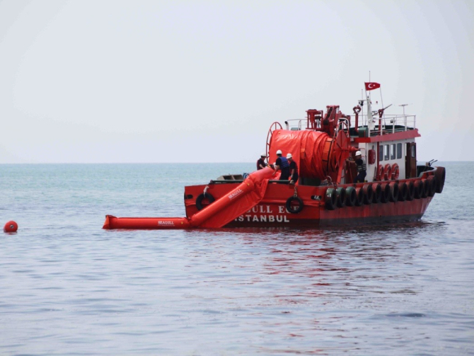 Seagull-Ege001.jpg